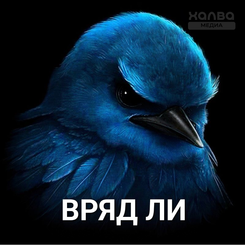 Источник: нейросеть