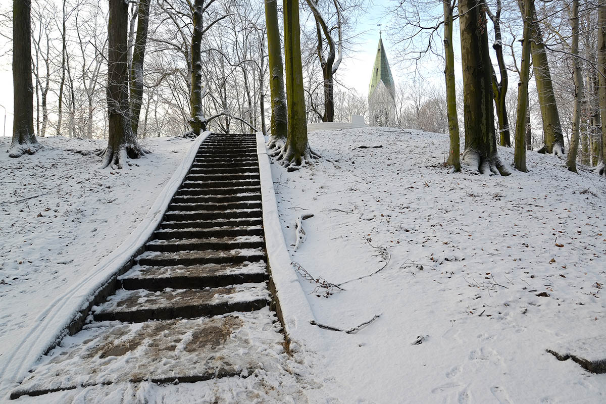 Центральный парк зимой и башенка Луизенкирхе. Источник: Irina Borsuchenko / Shutterstock / FOTODOM