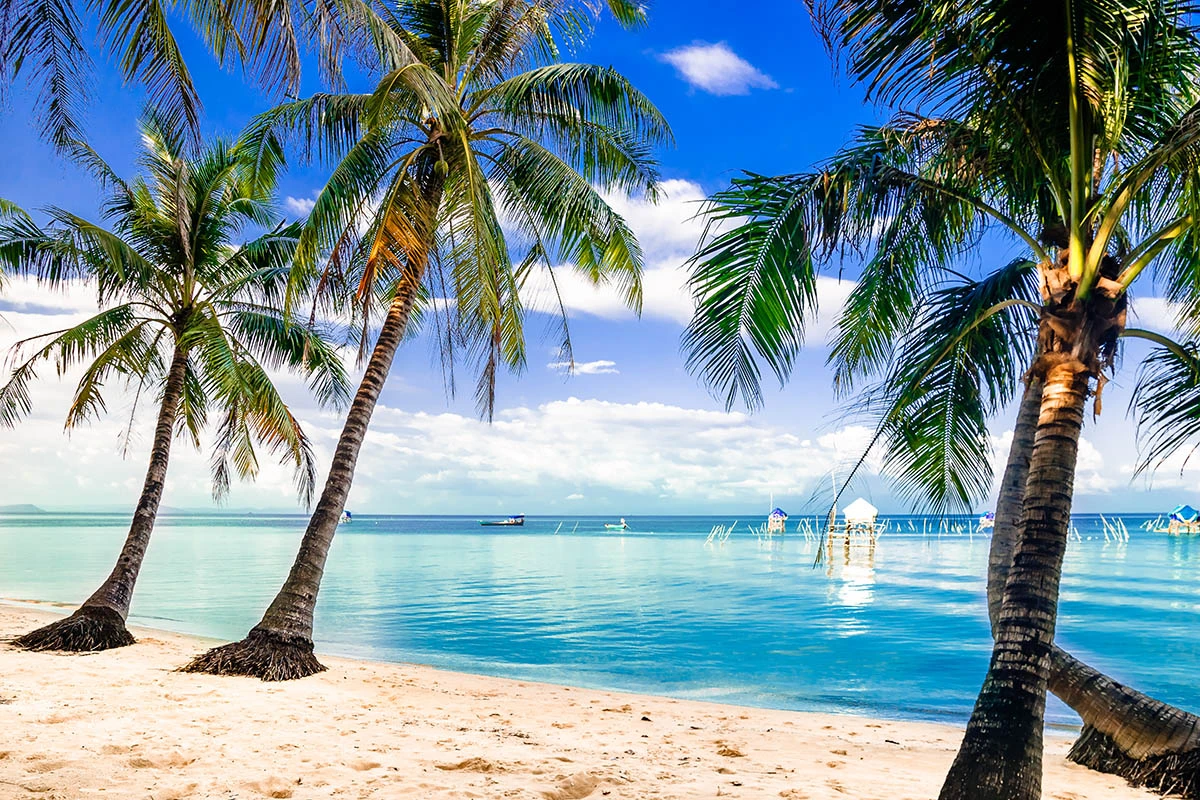 Пляж на Фукуоке. Источник: streetflash / Shutterstock / FOTODOM