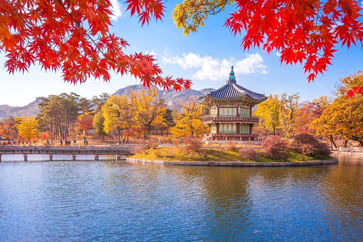 Парк во дворце Кёнбоккун. Источник: PKphotograph / Shutterstock / FOTODOM