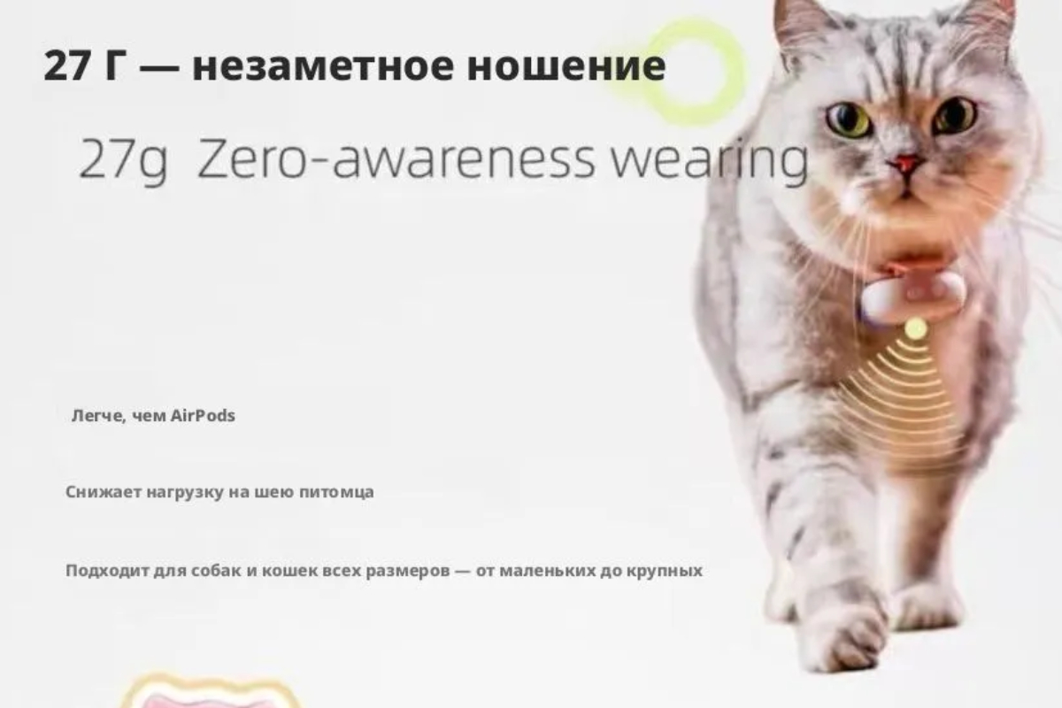 Источник: ozon.ru