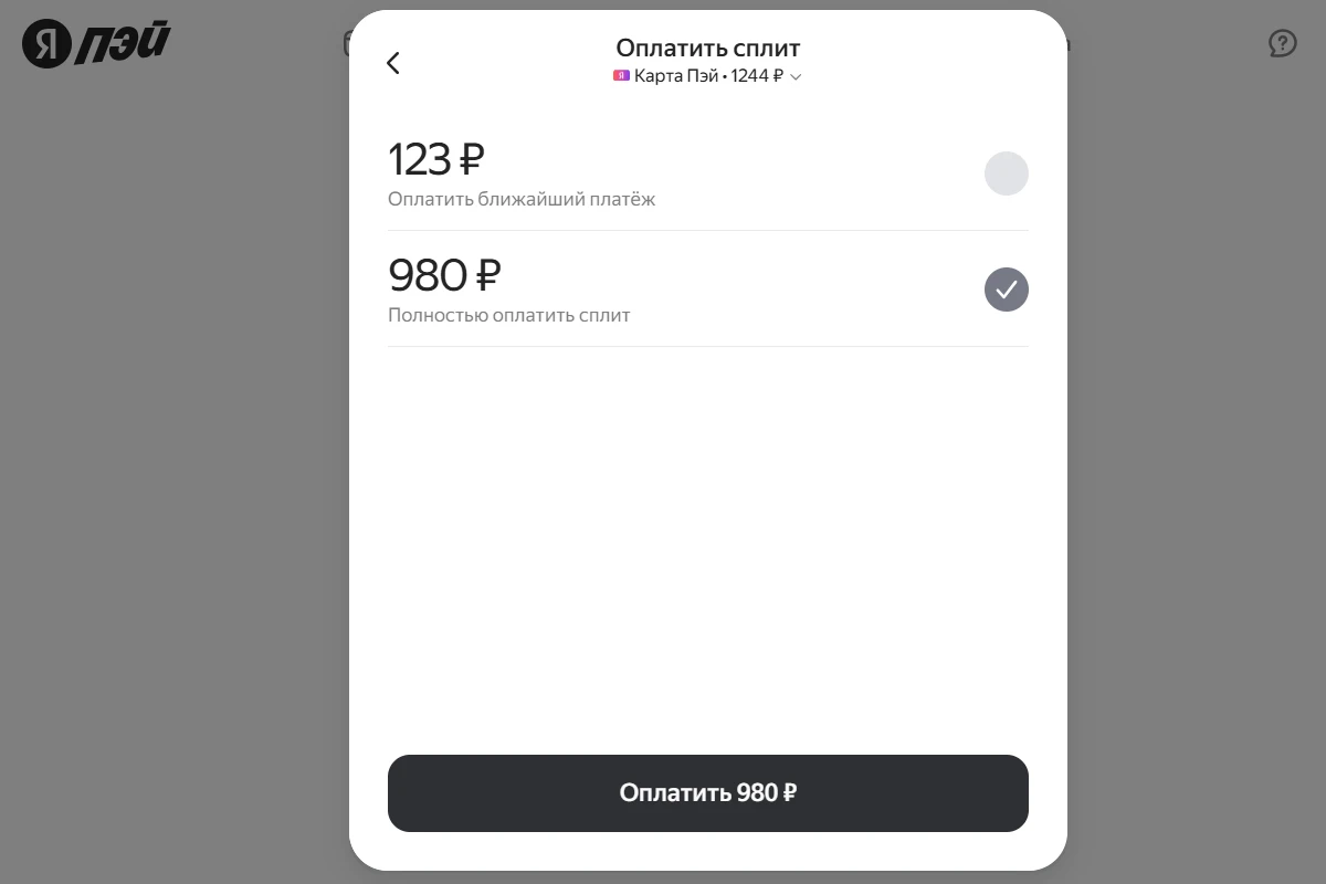 <span style="font-weight: 400;">Чтобы погасить «Сплит» досрочно, поставьте галочку напротив этой опции и внесите деньги. Источник: market.yandex.ru</span>
