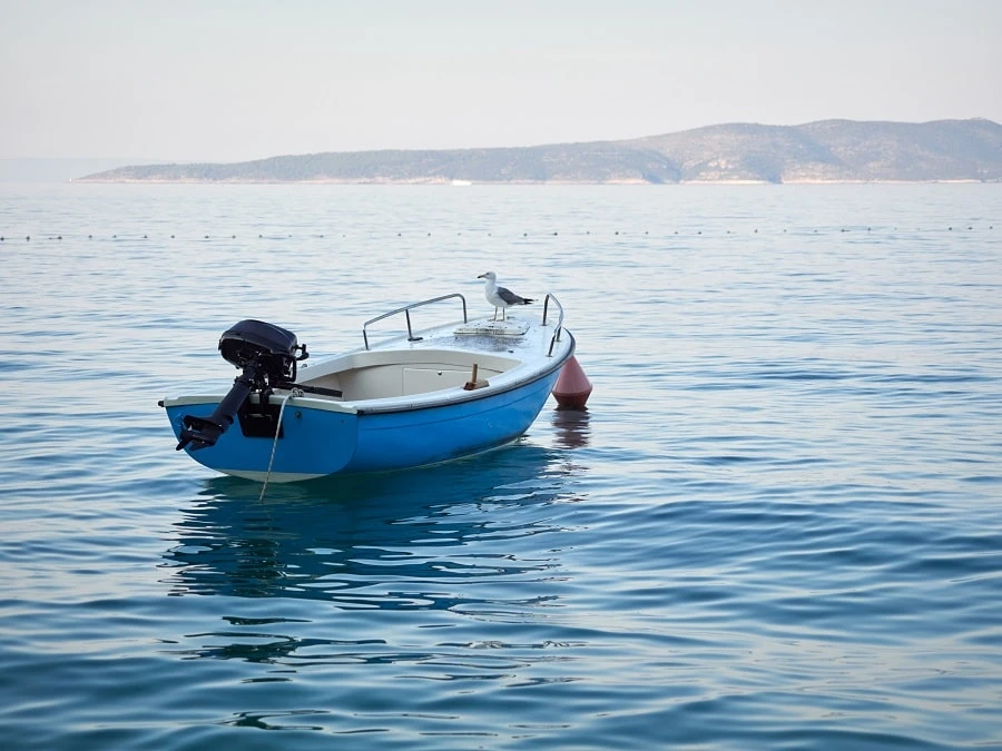 Топ-5 популярных моделей лодок