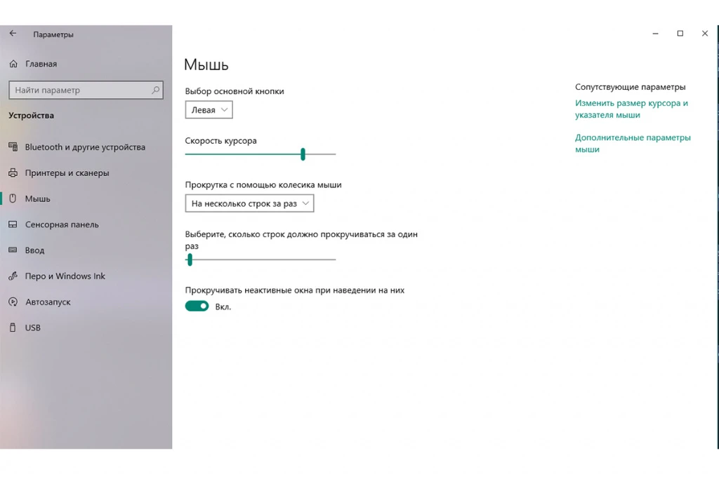 Настройки мыши Windows