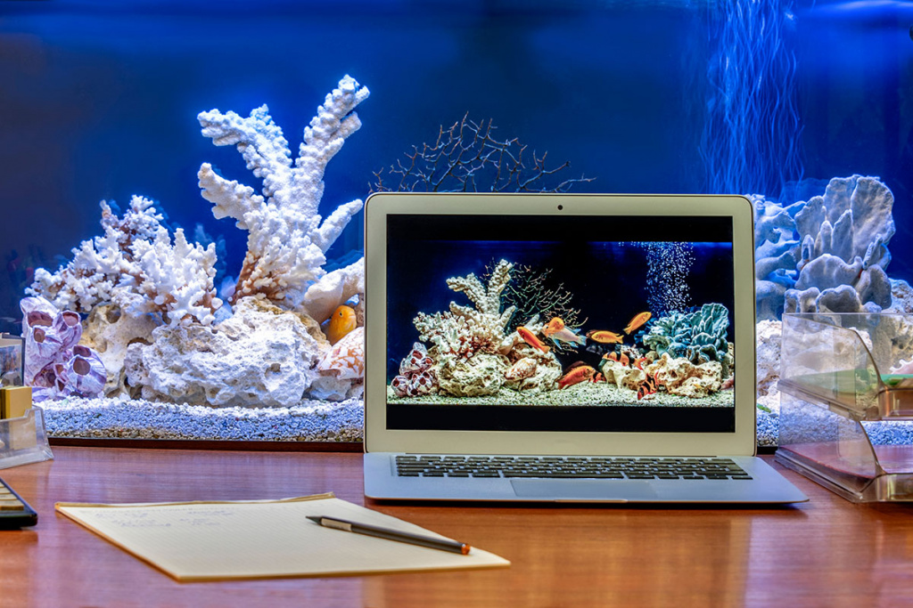 шум фильтры уют