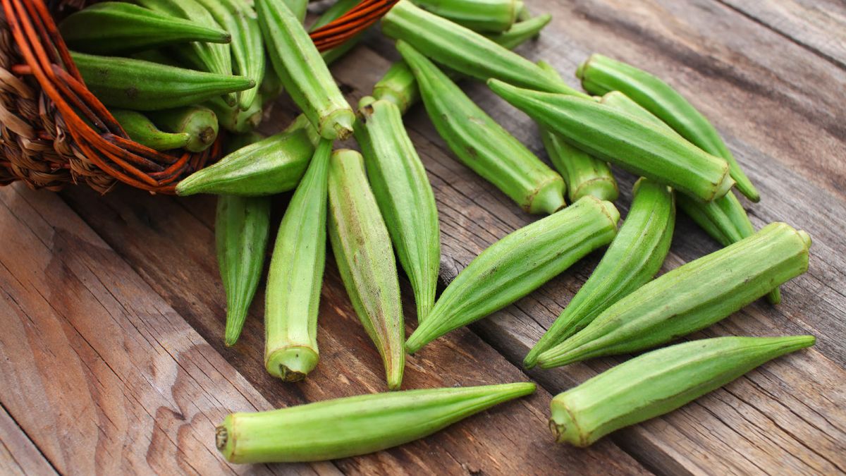 Бамия: вкусный и полезный овощ для вашего стола